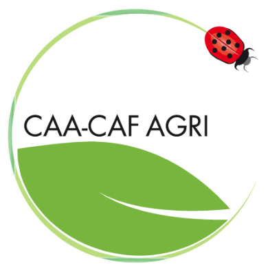 CAA Logo